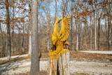 5175 Beanblossom Road - Photo 68