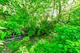 8740 Huggin Hollow Road - Photo 22