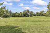 12248 Hawks Nest Drive - Photo 71