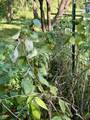 10074 400 - Photo 16
