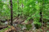 927 Racetime Road - Photo 122
