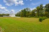 6445 Ohio Ridge Road - Photo 58