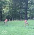 7062 County Road 190 - Photo 27