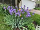 2411 Talbott Street - Photo 45