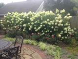 2411 Talbott Street - Photo 47