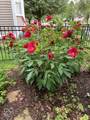 2411 Talbott Street - Photo 48