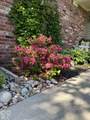 11015 Rutgers Lane - Photo 40