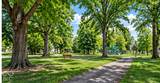 13946 Meadow Lake Drive - Photo 24