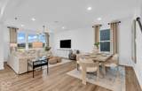 7852 Harmony Drive - Photo 8