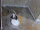 5298 Milton Street - Photo 9