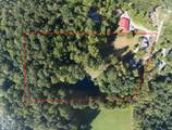 4590 Turkey Track Road - Photo 5