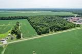 3960 County Road 75 - Photo 10
