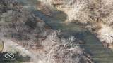 3180 County Road 425 - Photo 7