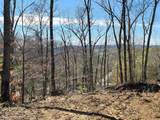 Lot 5 Goat Hollow Estates - Photo 1