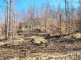 Lot 5 Goat Hollow Estates - Photo 3