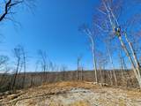 Lot 2 Goat Hollow Estates Road - Photo 1