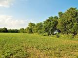 10188 State Road 47 - Photo 13