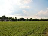 10188 State Road 47 - Photo 7
