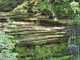 5766 Co Rd 20 W - Photo 40