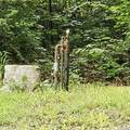 5766 Co Rd 20 W - Photo 42