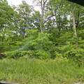 5766 Co Rd 20 W - Photo 44