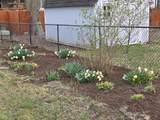 6811 Cordova Drive - Photo 33