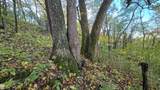 5635 Plum Creek Road - Photo 8