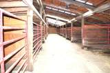5284 County Road 200 - Photo 45