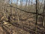 0000 Burtzelbach Road - Photo 23