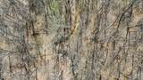 0 Hardin Ridge Road - Photo 11