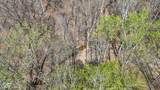0 Hardin Ridge Road - Photo 16