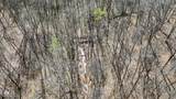 0 Hardin Ridge Road - Photo 7