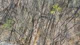 0 Hardin Ridge Road - Photo 8
