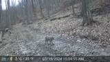 10000 Block State Road 135 - Photo 50