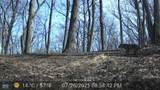 10000 Block State Road 135 - Photo 51