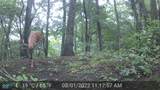 10000 Block State Road 135 - Photo 52
