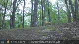 10000 Block State Road 135 - Photo 54