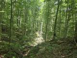 8025 Fish Road - Photo 4