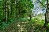 3555 Belle Arbres Lane - Photo 12