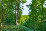2265 Skyline Drive - Photo 36