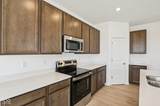 7513 Firecrest Lane - Photo 9