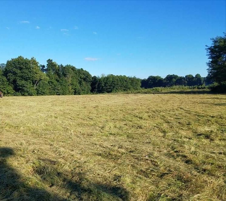 0 Longbranch Road - Photo 1