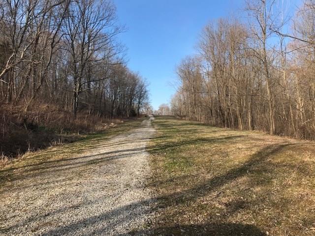 1160 Hinson Road - Photo 1