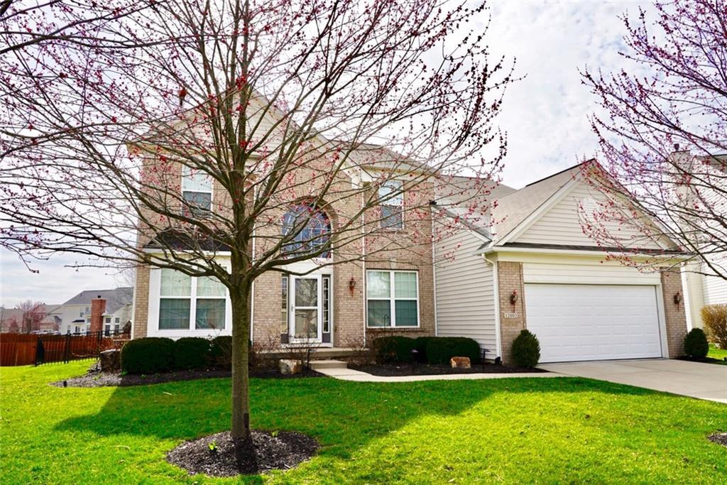 12002 Cabri Lane - Photo 1