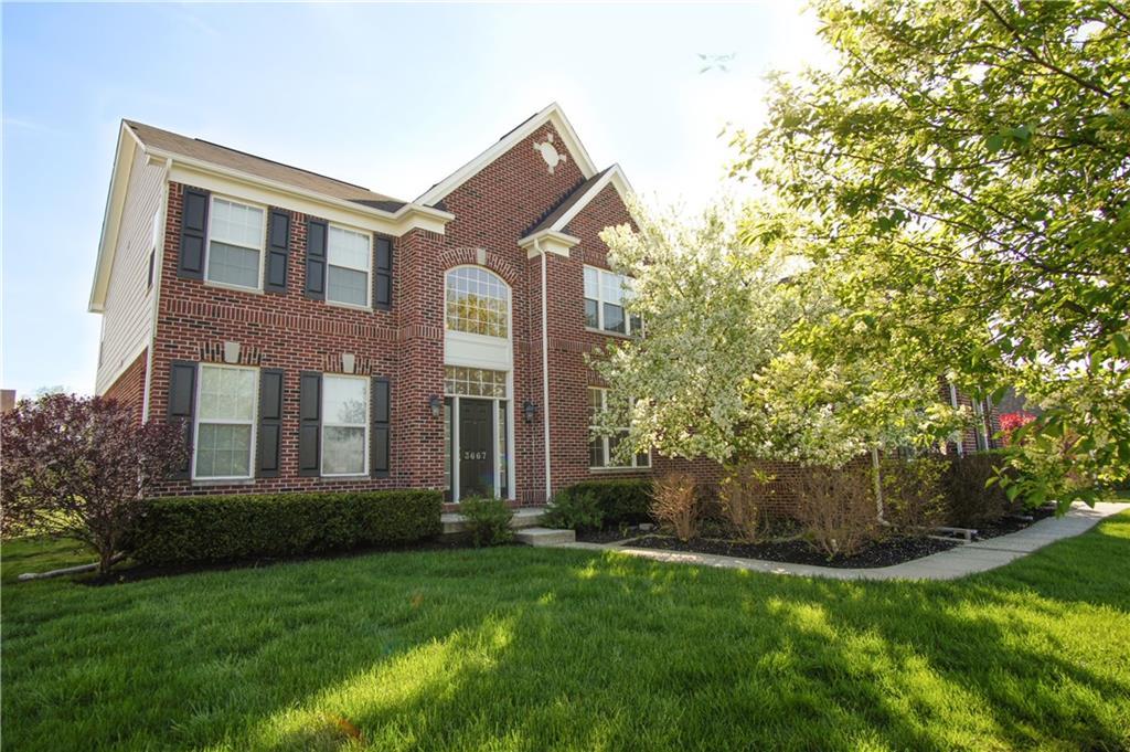 3667 Dolan Way - Photo 1