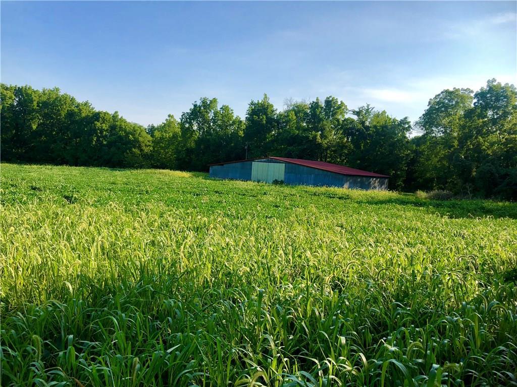 0 Co Road 60 - Photo 1