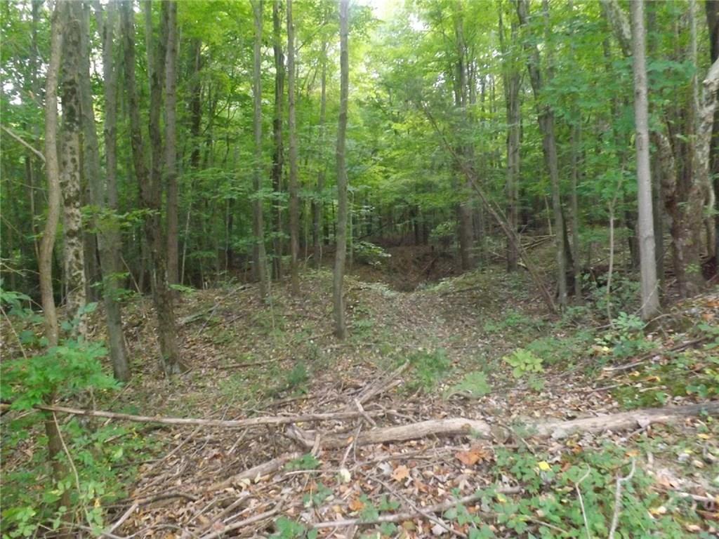 1500 Fox Cross Drive - Photo 1
