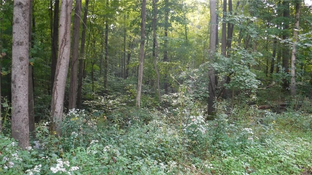 599 Kinnikinnick Ridge - Photo 1
