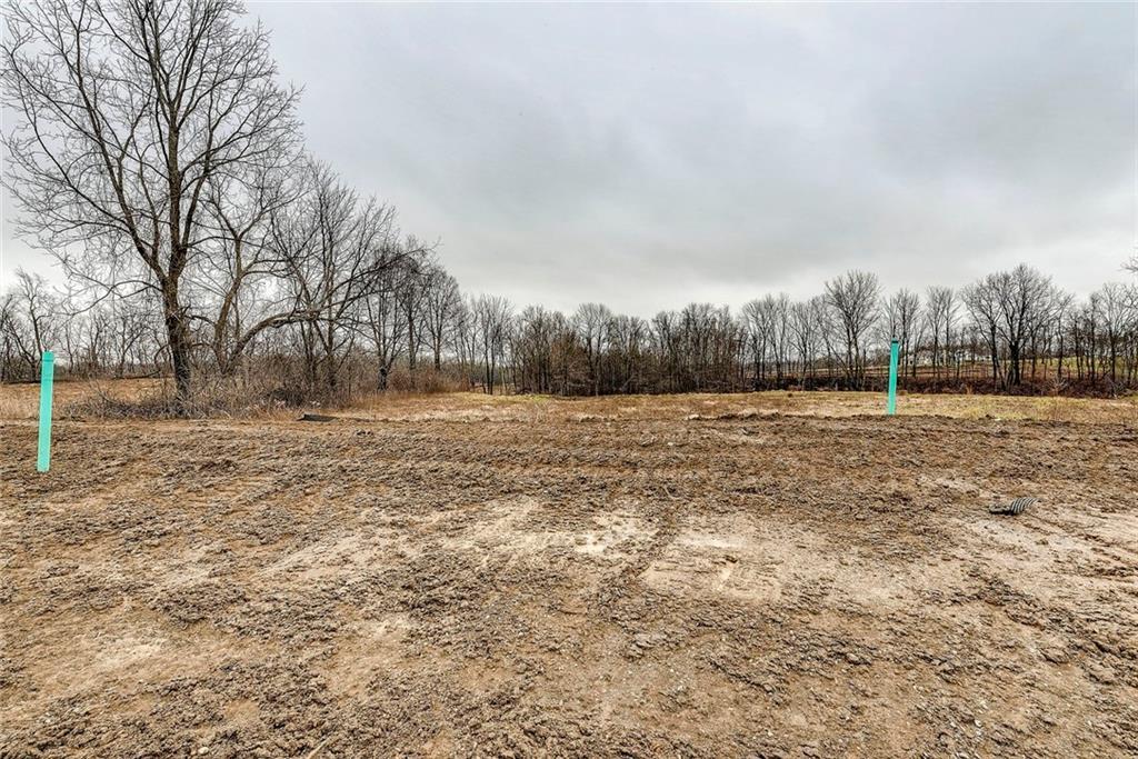 1139 Chatham Ridge Boulevard - Photo 1