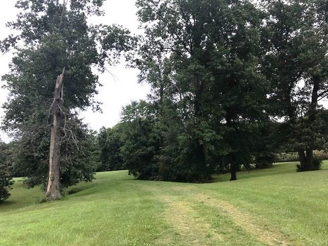 0 County Road 425 - Photo 1
